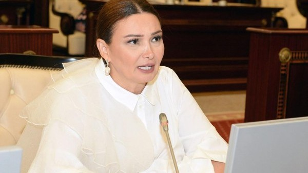 "Sonsuzluq ciddi ailə problemlərinə səbəb olur" - Qənirə Paşayeva