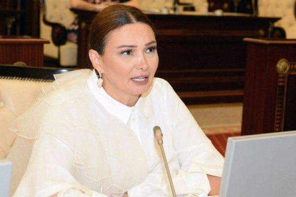 “Kinematoqrafiya haqqında” yeni qanun layihəsi hazırlanıb
