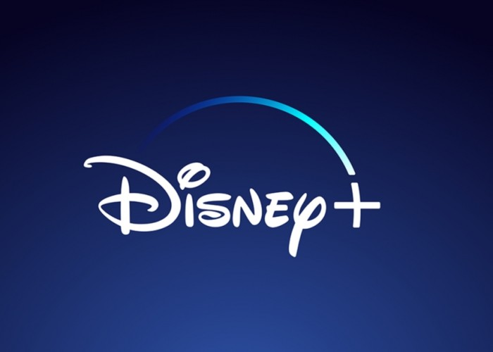 "Disney"dən milyon dollarlıq yardım