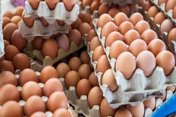 2 min ədəd yumurta yedi, 32 kilo arıqladı