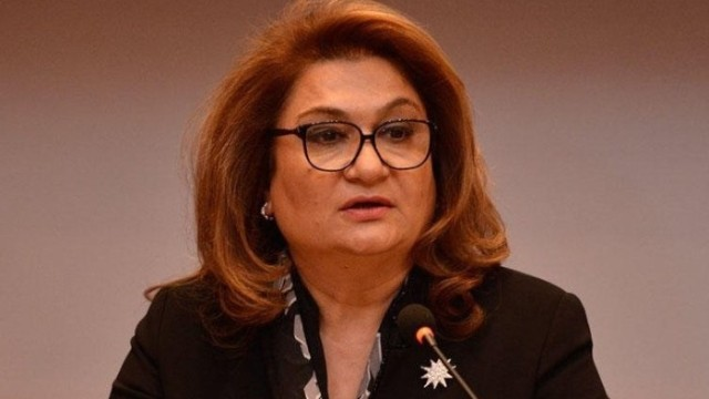 "Uşaq evlərində nəinki valideynsiz, hər iki valideyni olan uşaqlar da var" - Komitə sədri