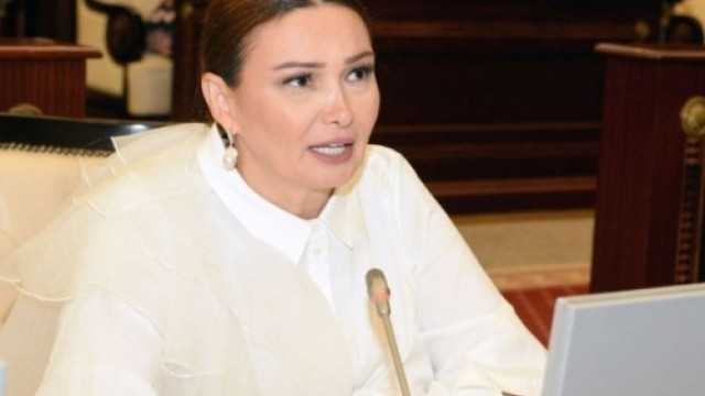 "Azərbaycanda övladsız ailələrin sayı çoxalır" - Komitə sədri