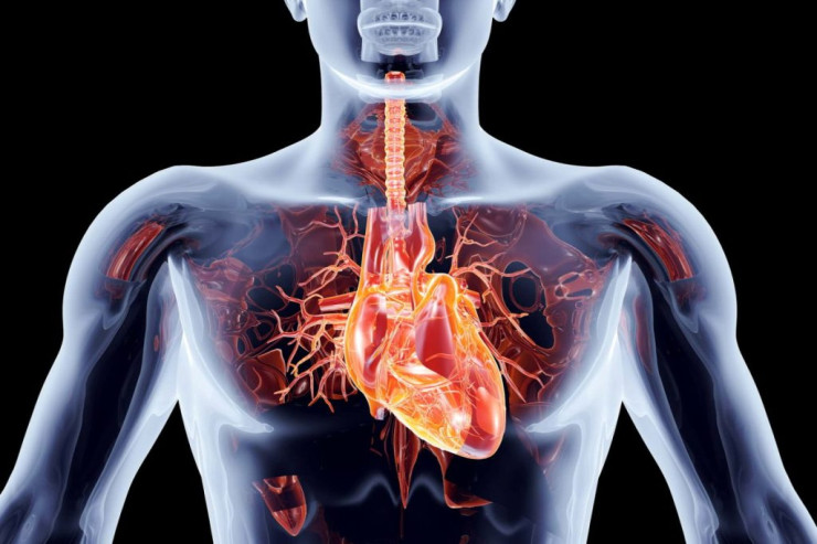 Bu insanlarda baş ağrıları ilə infarkt arasında əlaqə tapıldı