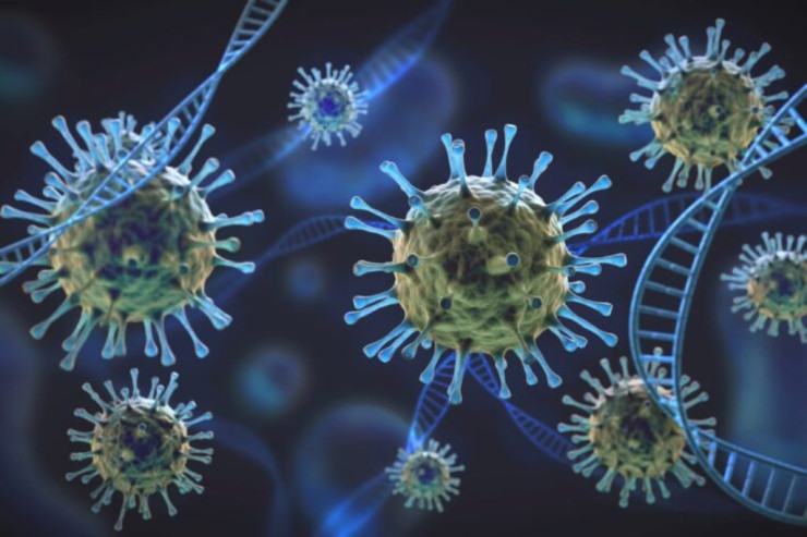İki yeni virus kəşf edildi