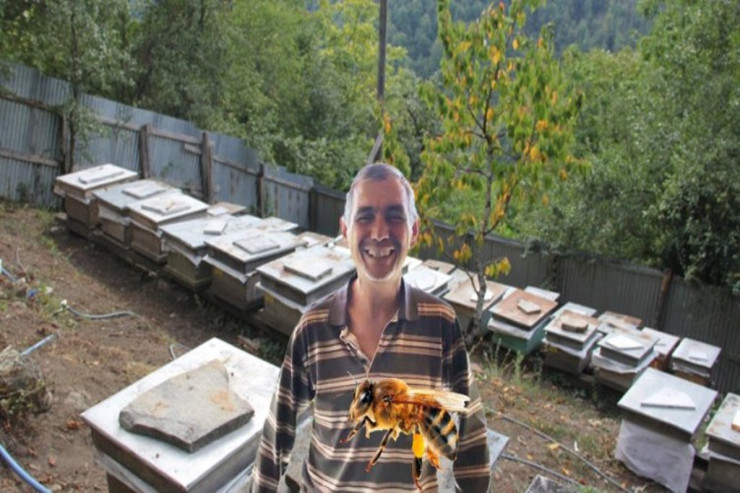 Arı sancan kişi öldü