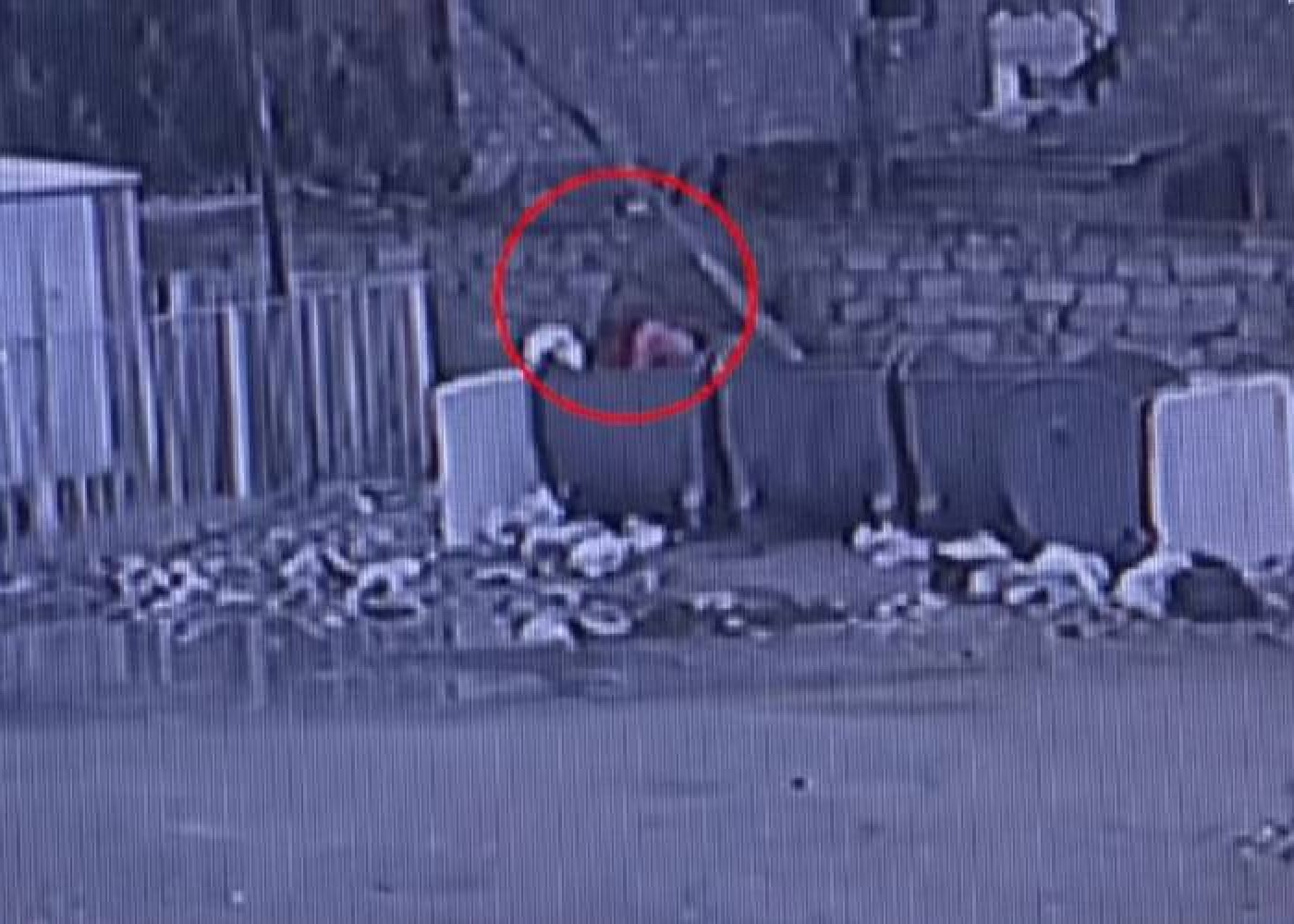 Bakıda körpəsini zibil qutusuna tullayan anaya cinayət işi açıldı