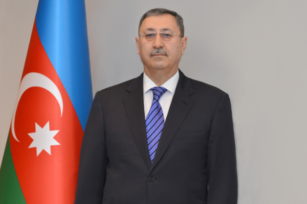 Prezidentin xüsusi tapşırıqlar üzrə nümayəndəsi kimdir? - DOSYE