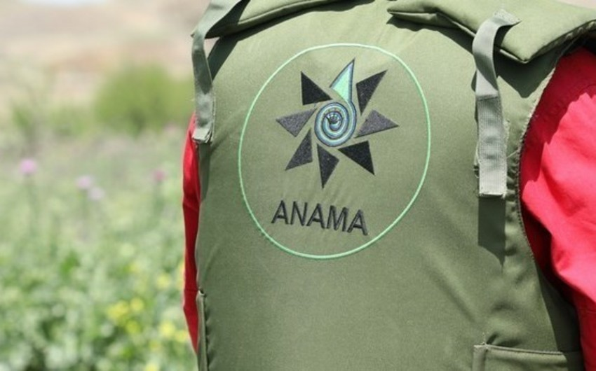 Ağdamda minaya düşən ANAMA əməkdaşının son durumu açıqlanıb