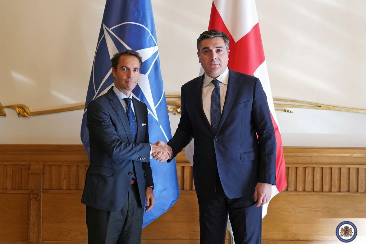 NATO Baş katibinin xüsusi nümayəndəsi Tbilisidə Darçiaşvili ilə görüşüb