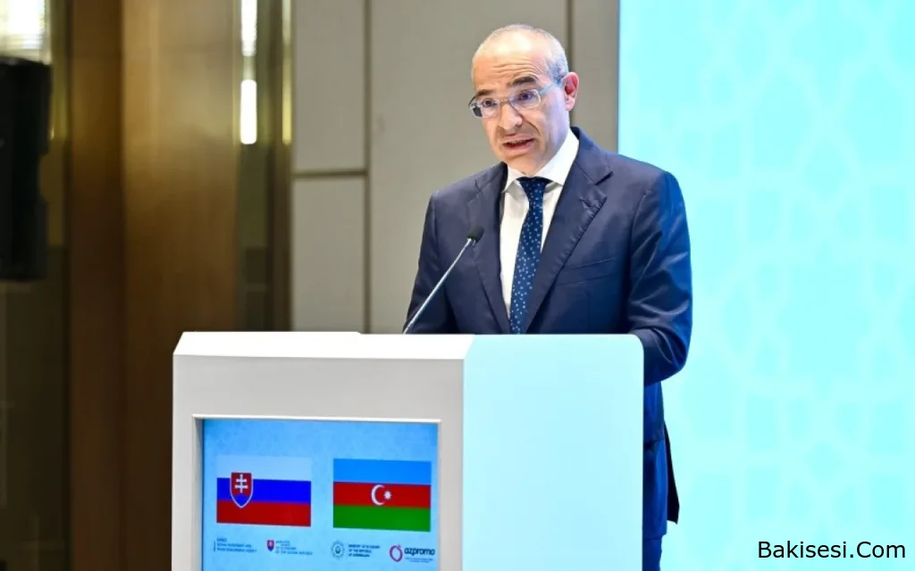 "Azərbaycanda fəaliyyət göstərmək şirkətlərə daha geniş regional bazara çıxış imkanı yaradır" - Nazir